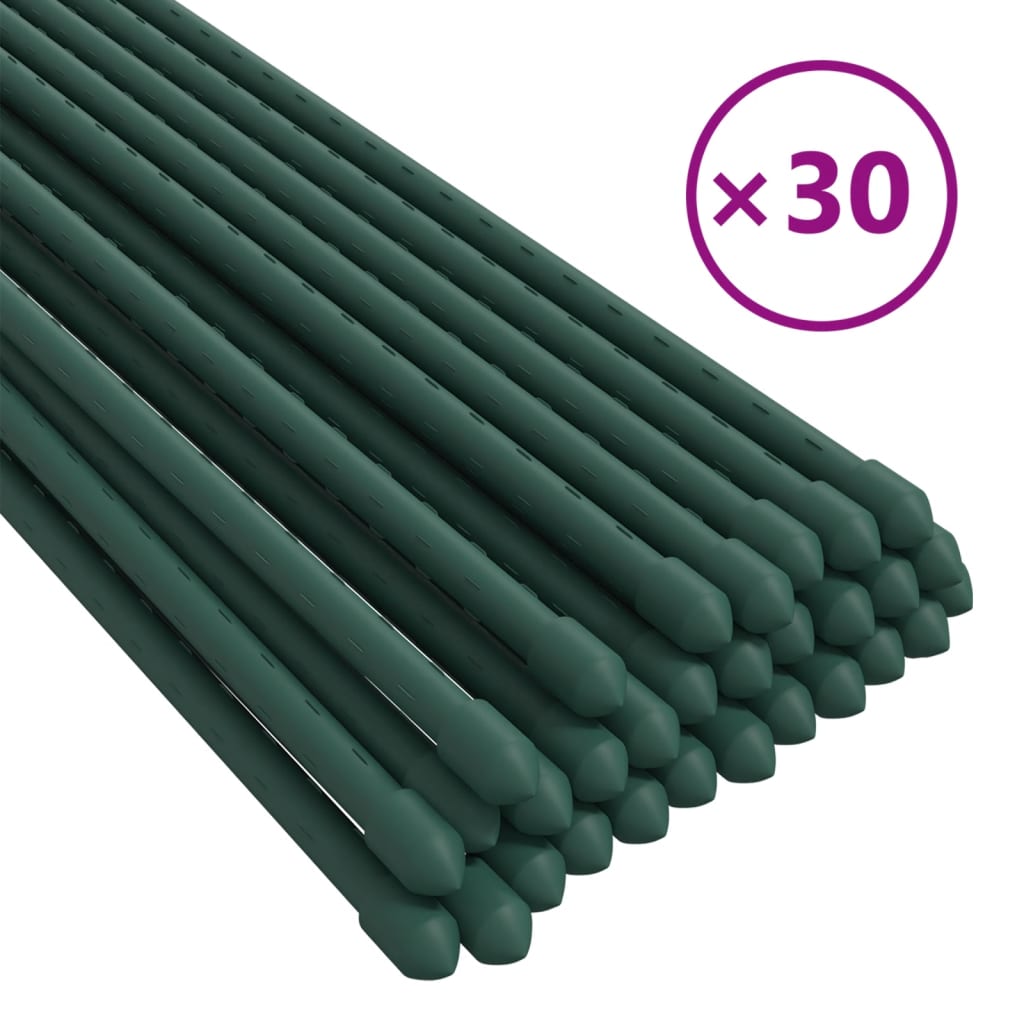 Vidaxl Plant Stakes 30 St 180 cm in acciaio verde