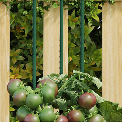 Vidaxl Plant Stakes 30 St 180 cm in acciaio verde