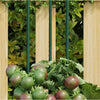 Vidaxl Plant Stakes 30 St 180 cm in acciaio verde