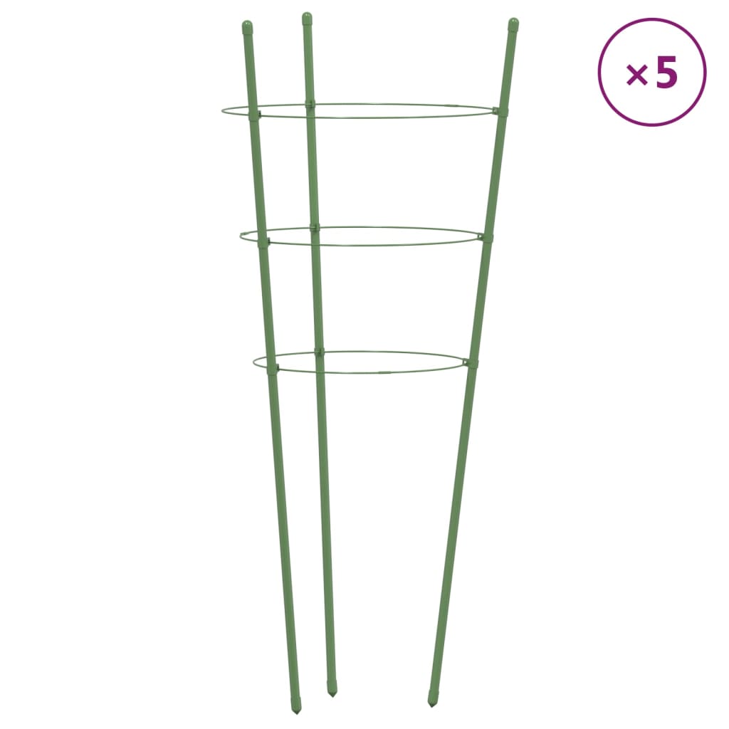 Vidaxl Plantrests 5 ST con 3 anelli da 45 cm in acciaio verde