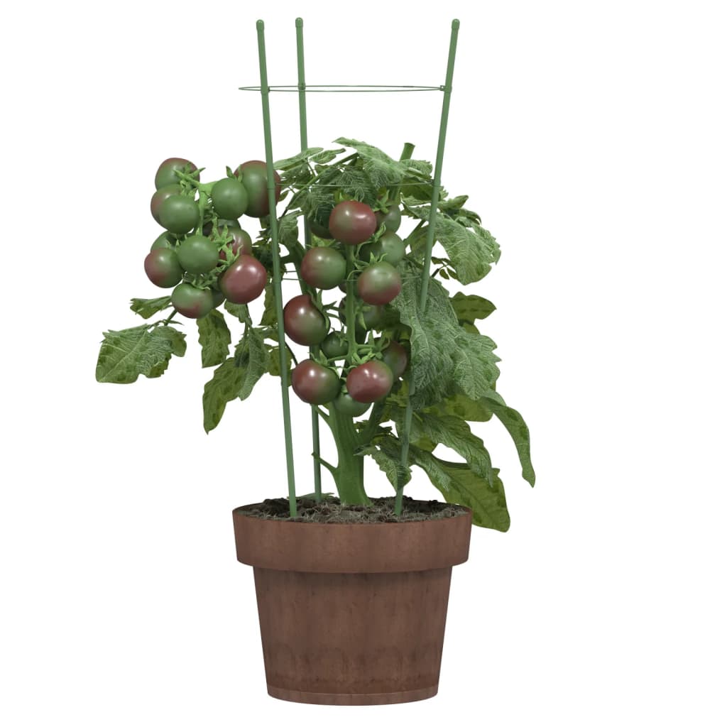 Vidaxl Plantrests 5 ST con 3 anelli da 45 cm in acciaio verde
