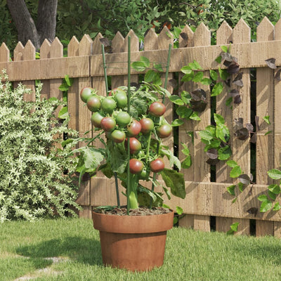 Vidaxl Plantrests 5 ST con 3 anelli da 45 cm in acciaio verde