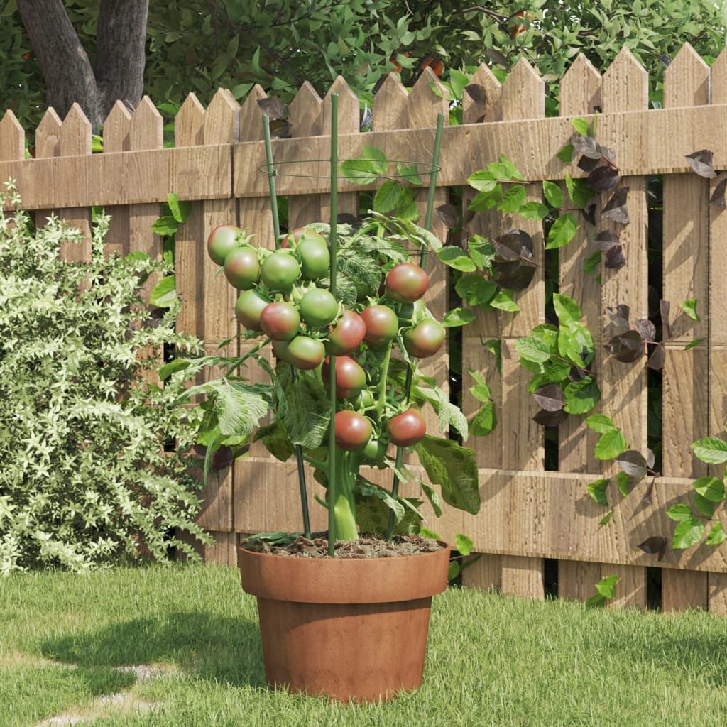 Vidaxl Plantrests 5 ST con 3 anelli da 45 cm in acciaio verde