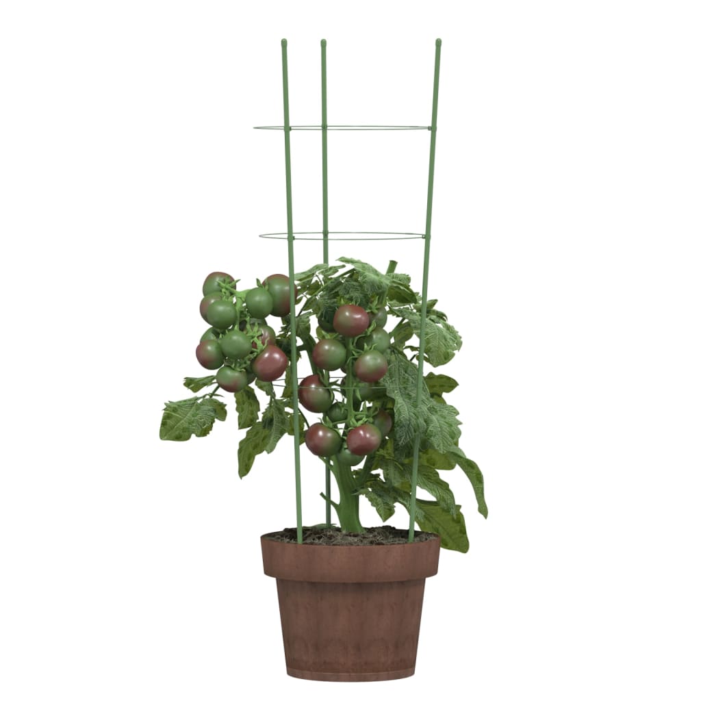 Vidaxl Plantrests 5 ST con 3 anelli da 60 cm in acciaio verde