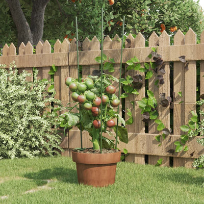 Vidaxl Plantrests 5 ST con 3 anelli da 60 cm in acciaio verde
