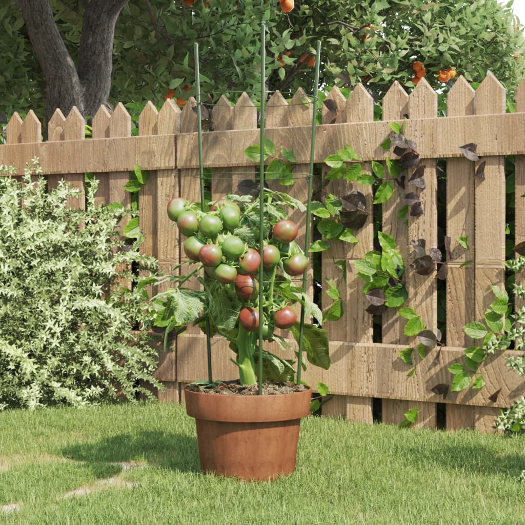 Vidaxl Plantrests 5 ST con 3 anelli da 60 cm in acciaio verde
