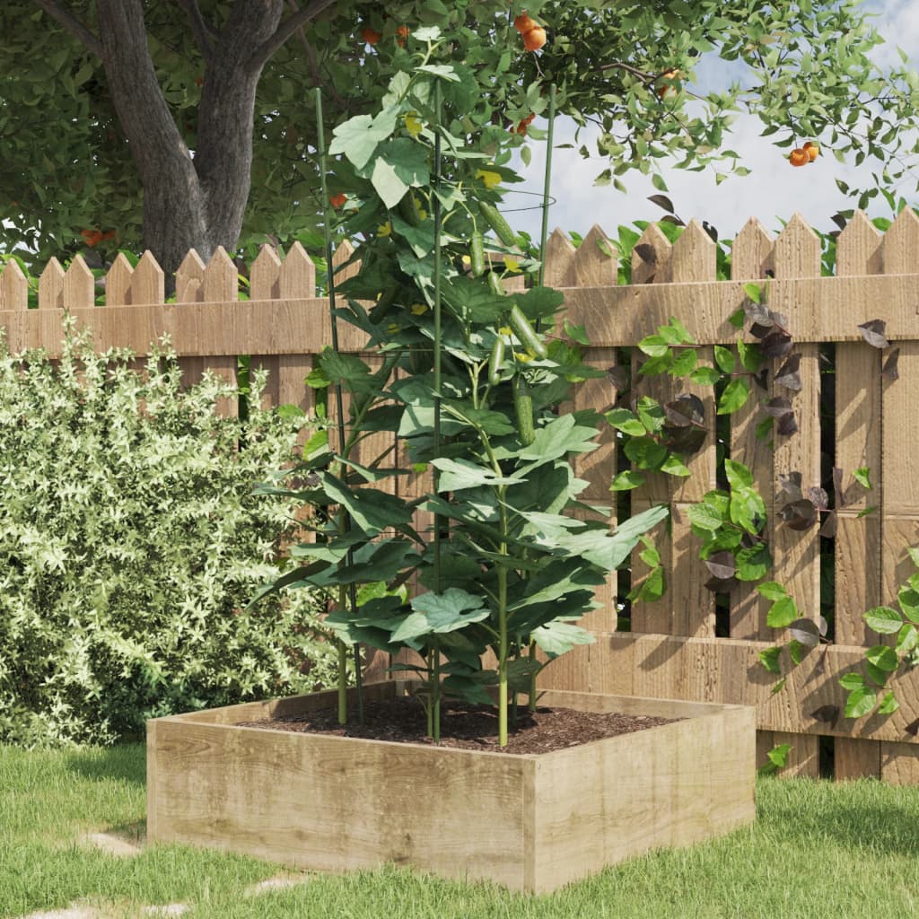Vidaxl Plantrests 5 ST con 3 anelli da 75 cm in acciaio verde