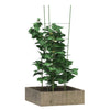 Vidaxl Plantrests 5 ST con 4 anelli da 90 cm in acciaio verde