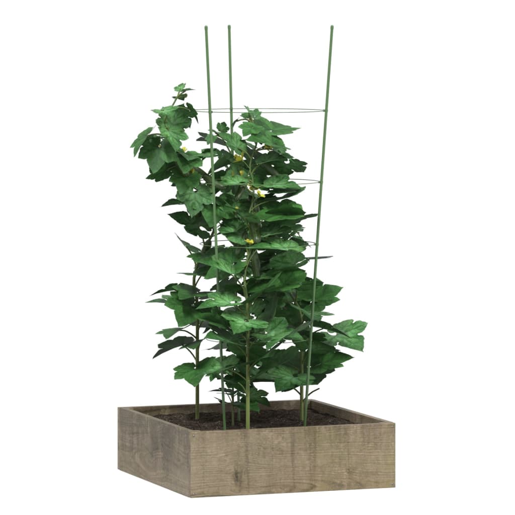 Vidaxl Plantrests 5 ST con 4 anelli da 90 cm in acciaio verde