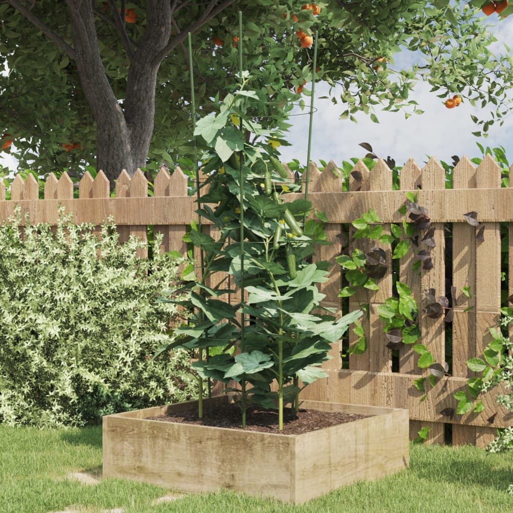 Vidaxl Plantrests 5 ST con 4 anelli da 90 cm in acciaio verde