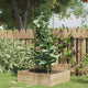 Vidaxl Plantrests 5 ST con 4 anelli da 90 cm in acciaio verde