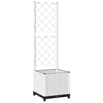 Vidaxl fioriera con polipropene Latwerk 40x40x136 cm