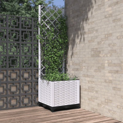 Vidaxl fioriera con polipropene Latwerk 40x40x136 cm