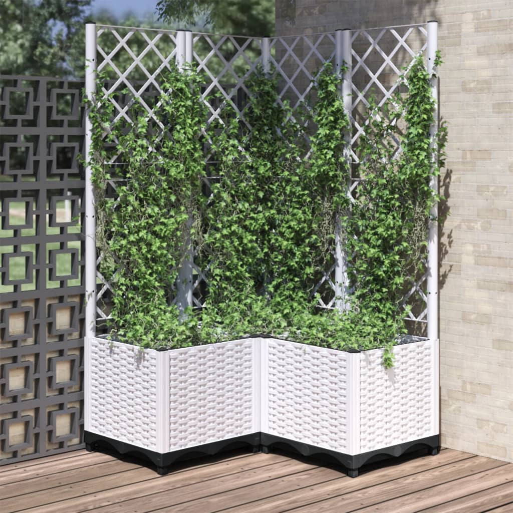 Plantador Vidaxl con latwerk 80x80x136 cm Polypropene White