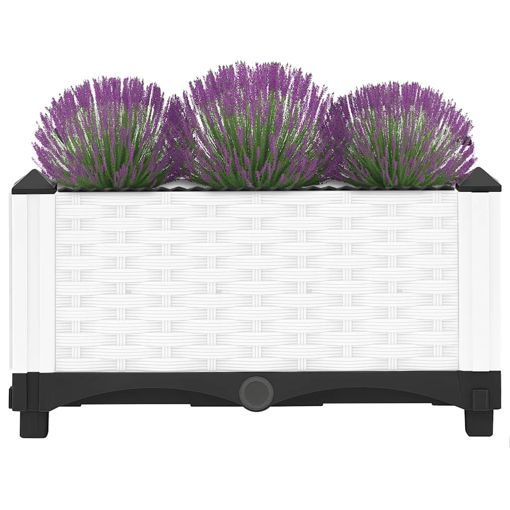 Vidaxl Planter elevado 40x40x23 cm polipropeno