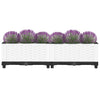 Vidaxl fioriera ha raccolto polipropene 80x40x23 cm