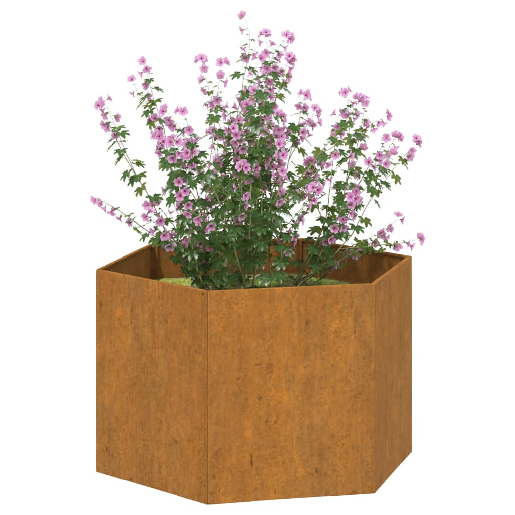 Vidaxl Plannet Rusty 60x60x45 cm acciaio corn