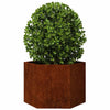 Vidaxl Plannet Rusty 60x60x45 cm acciaio corn