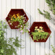Vidaxl Plantadores Montaje de pared 2 ST 46x10x40 cm Corten Steel Rusty