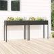 Vidaxl Fiorsters 2 St Galvanized Steel Anthrored