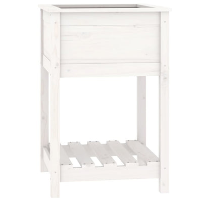 Vidaxl fioriera con scaffale 54x54x81 cm Pino solido bianco