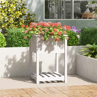 Vidaxl fioriera con scaffale 54x54x81 cm Pino solido bianco