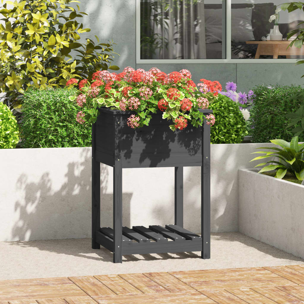 Vidaxl Fiorter con scaffale 54x54x81 cm Pinna solido