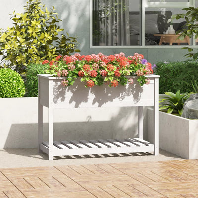 Vidaxl fioriera con scaffale 111.5x54x81 cm Pine bianco solido bianco
