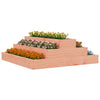 Casella di pianificazione Vidaxl 80x80x27 cm Douglashout solido