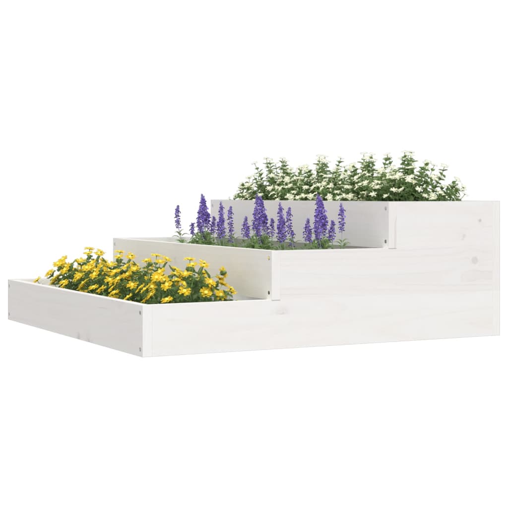 Casella di pianificazione Vidaxl 78x78x27 cm Pino solido