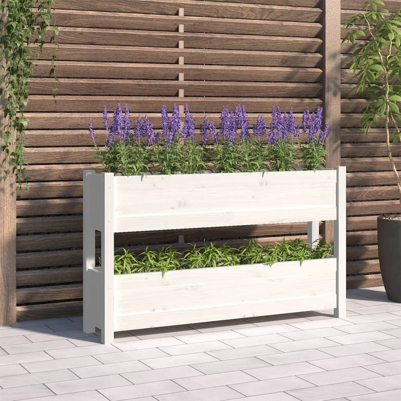 Casella di pianificazione Vidaxl 112x25x66 cm Pino solido