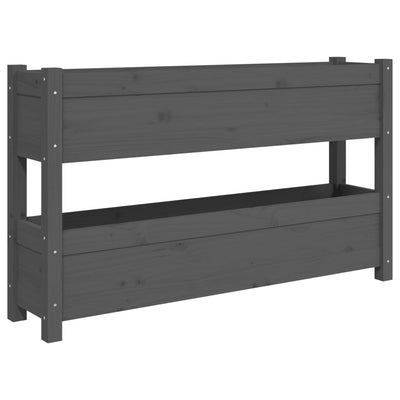 Casella di pianificazione di Vidaxl 112x25x66 cm Pine solido grigio