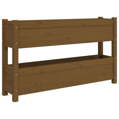 Casella di pianificazione Vidaxl 112x25x66 cm Miele di pino solido