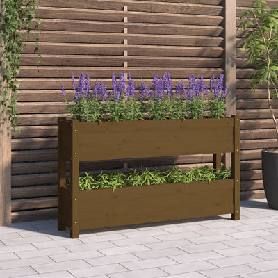 Casella di pianificazione Vidaxl 112x25x66 cm Miele di pino solido