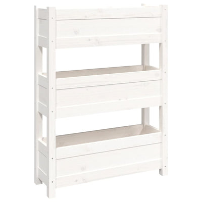 Casella di pianificazione Vidaxl 77x25x104.5 cm Pino solido bianco