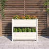 Casella di pianificazione Vidaxl 77x25x66 cm Pino solido