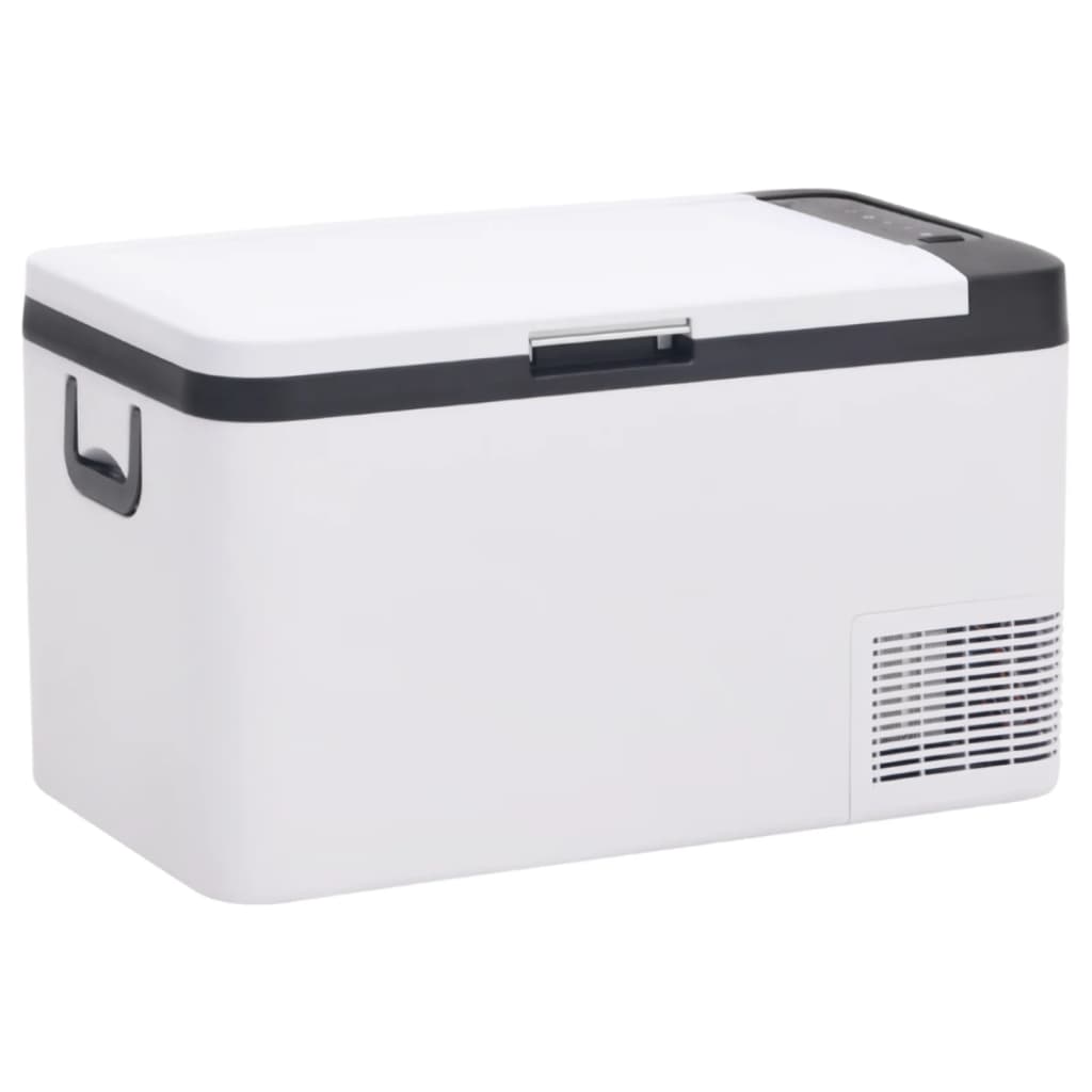 Vidaxl Cool Box con manico 18 l pp pe in bianco e nero