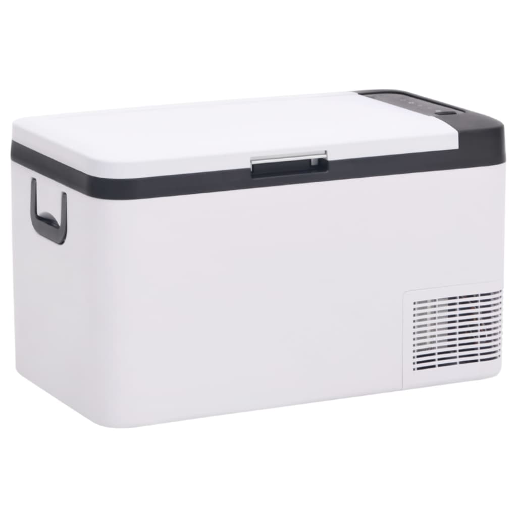 Vidaxl Cool Box con manico da 25 L pp PE in bianco e nero