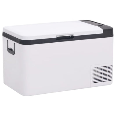 Vidaxl Cool Box con manico da 25 L pp PE in bianco e nero
