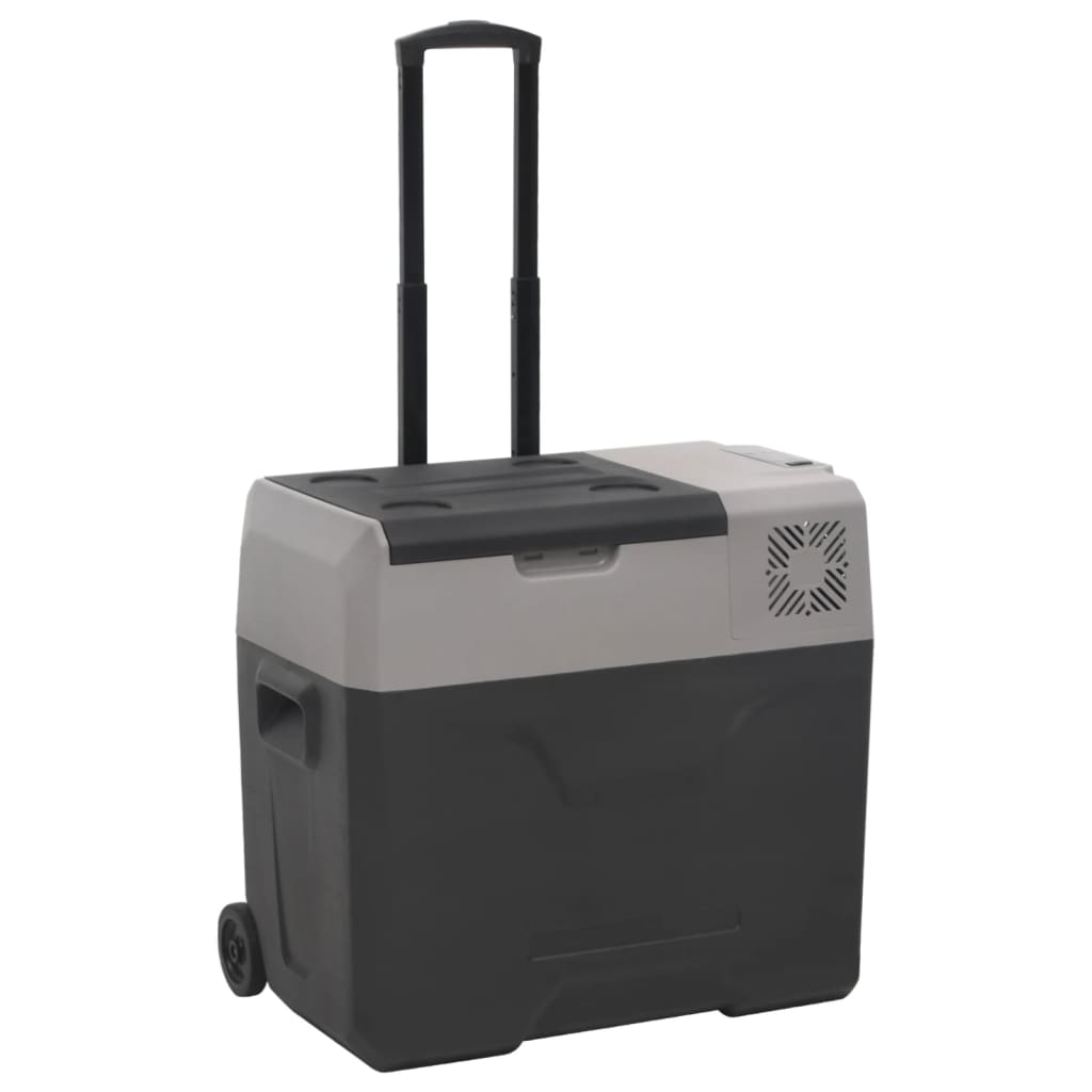 Vidaxl Cool Box con ruote e maniglia da 30 l polipropene nero e grigio