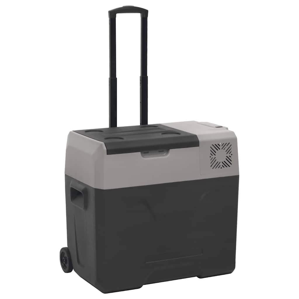 Vidaxl Cool Box con ruote e maniglia 40 l Polypropene nero e grigio