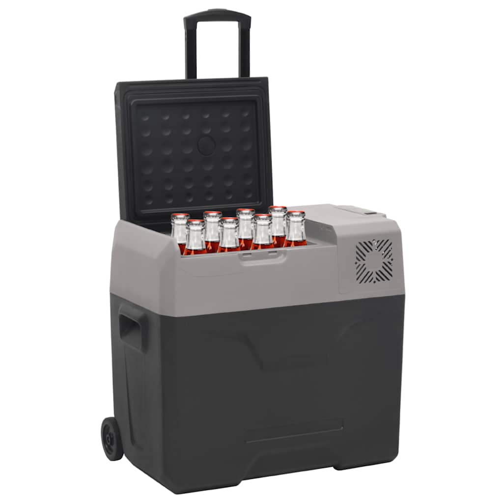 Vidaxl Cool Box con ruote e maniglia 40 l Polypropene nero e grigio