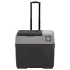 Vidaxl Cool Box con ruote e maniglia 40 l Polypropene nero e grigio
