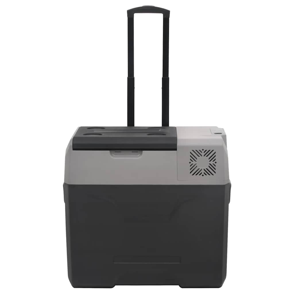 Vidaxl Cool Box con ruote e maniglia 40 l Polypropene nero e grigio