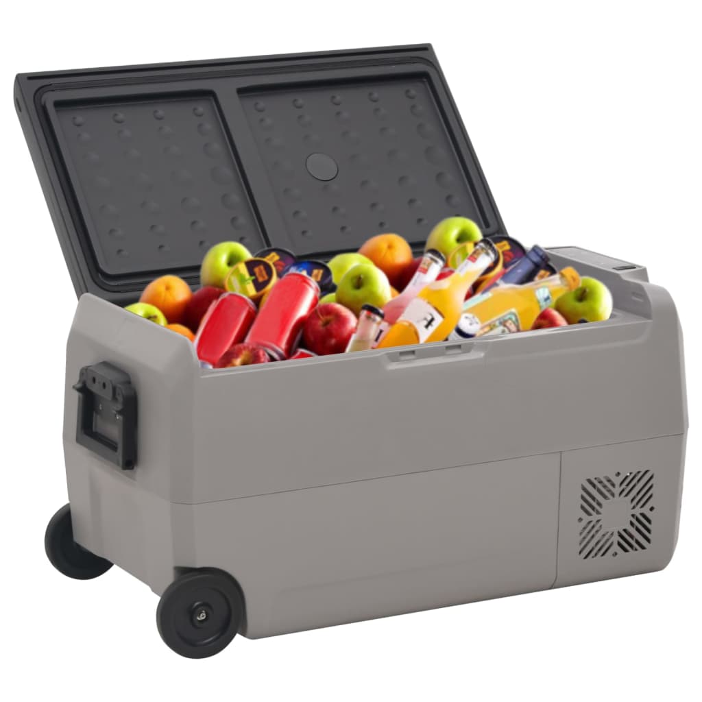 Vidaxl Cool Box con ruote e maniglia 60 l Polypropene nero e grigio