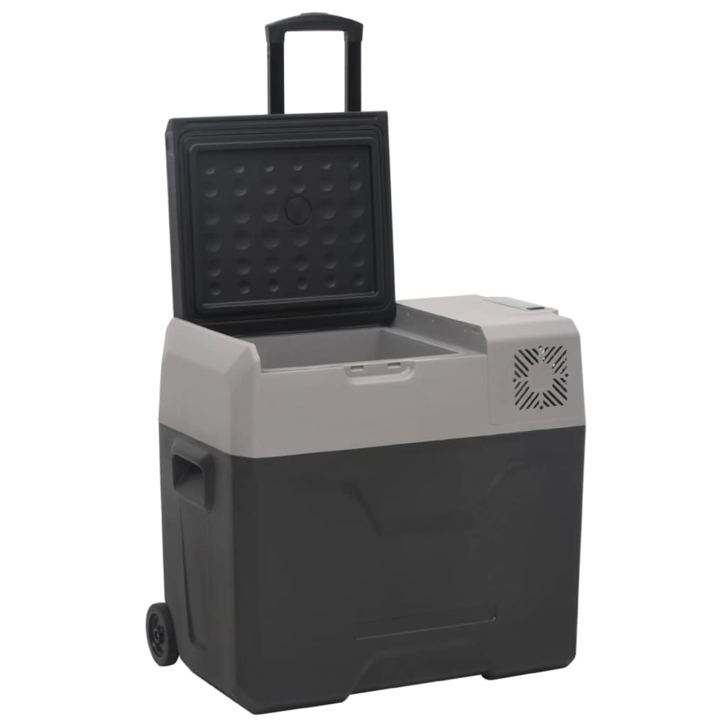 Vidaxl Cool Box con ruote e adattatore 40 l polipropene nero e grigio
