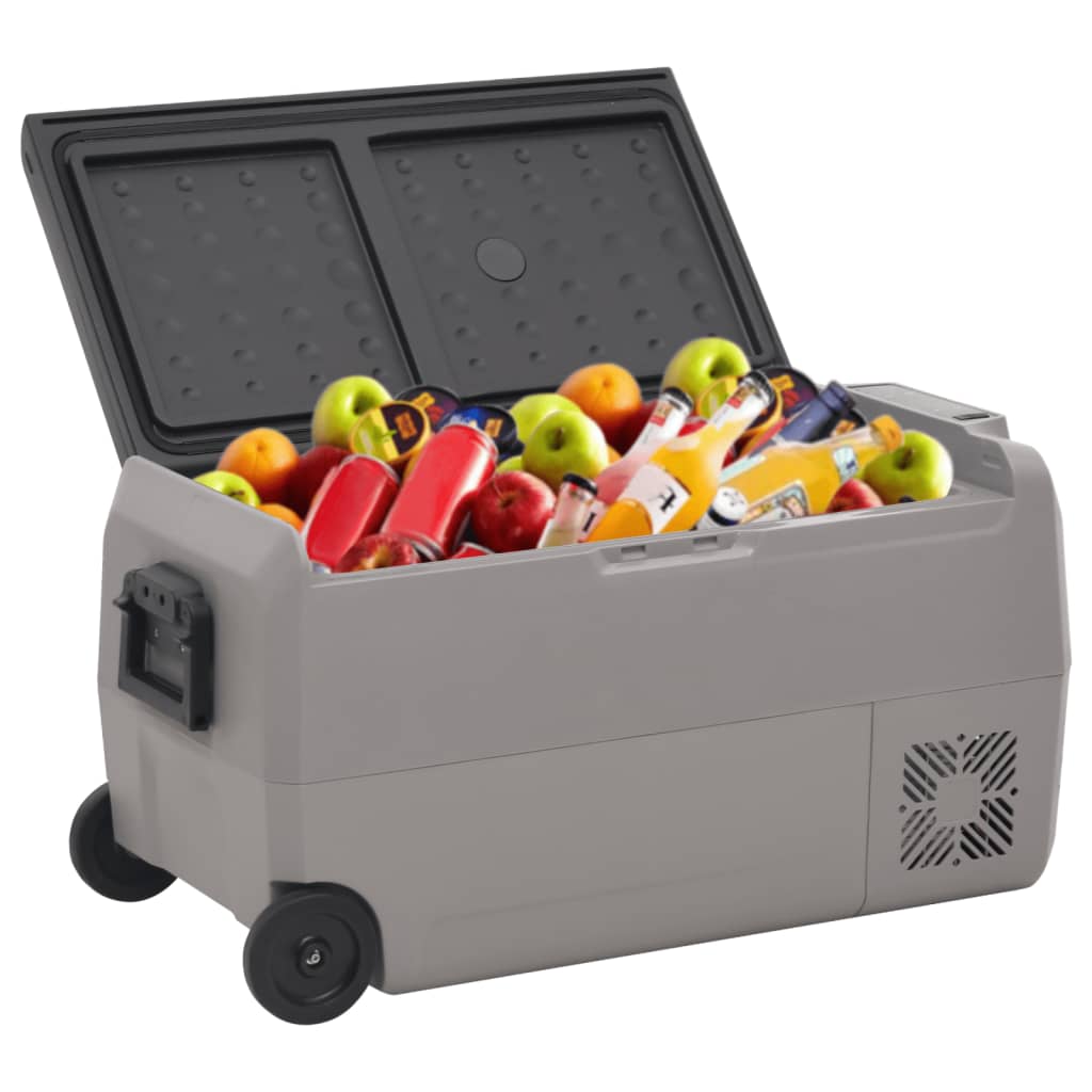Vidaxl Cool Box con ruote e adattatore 50 l pp e pe nero e grigio
