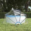 VIDAXL Swimming Pols Coof intorno a 315x158 cm PVC