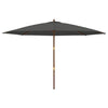Ombrellone Vidaxl con palo in legno 400x273 cm antracite