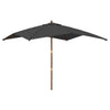 Vidaxl Parasol con polo in legno 300x300x273 cm antracite -colorato